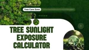 Tree Sunlight Exposure Calculator