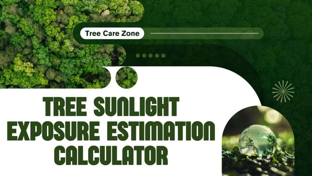 Tree Sunlight Exposure Estimation Calculator