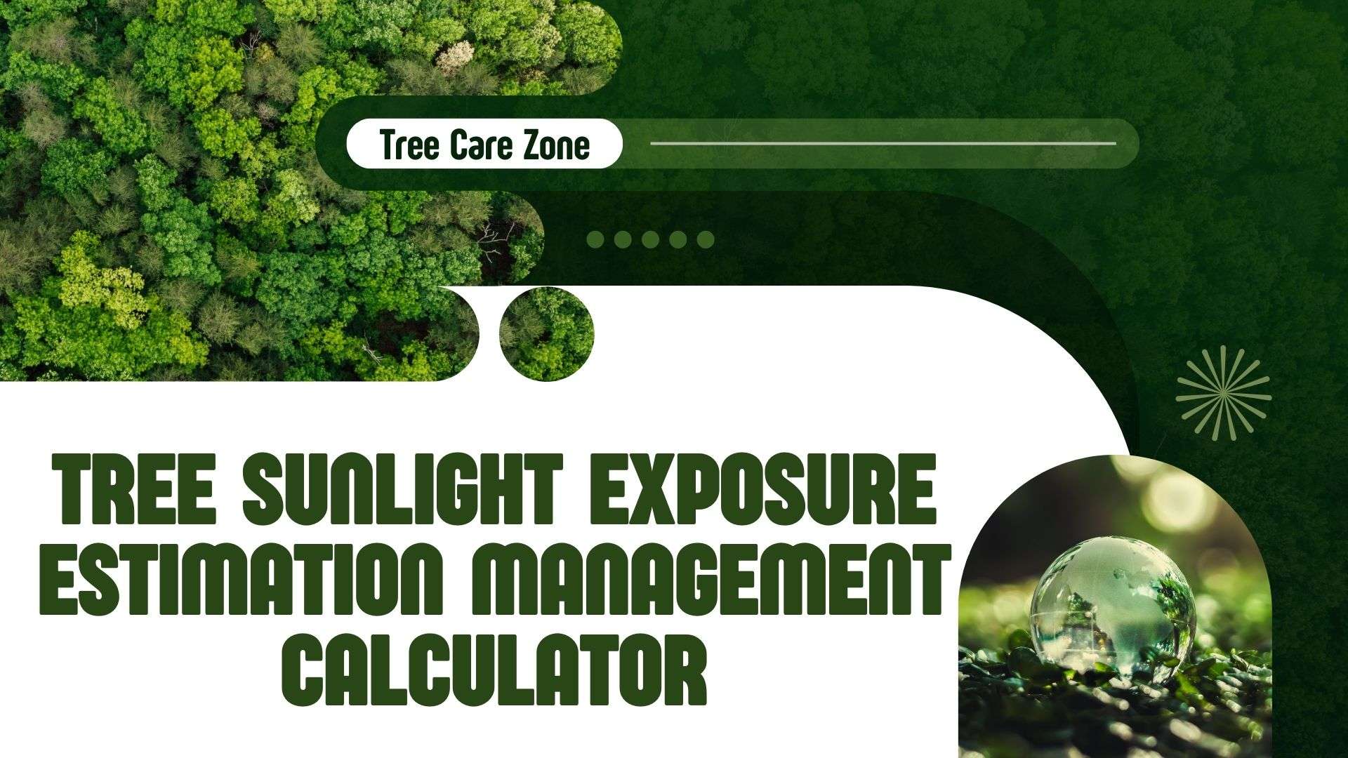 Tree Sunlight Exposure Estimation Management Calculator