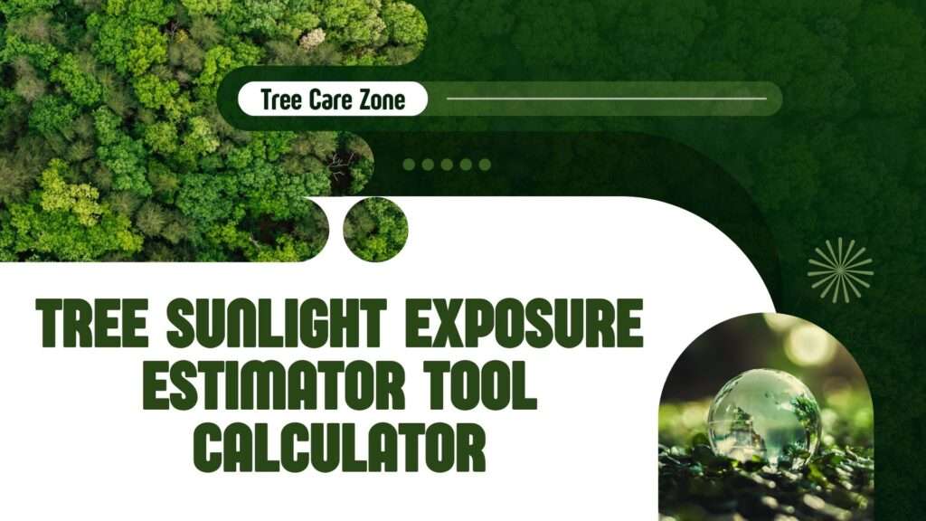 Tree Sunlight Exposure Estimator Tool Calculator