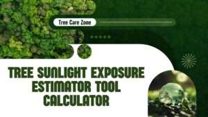 Tree Sunlight Exposure Estimator Tool Calculator