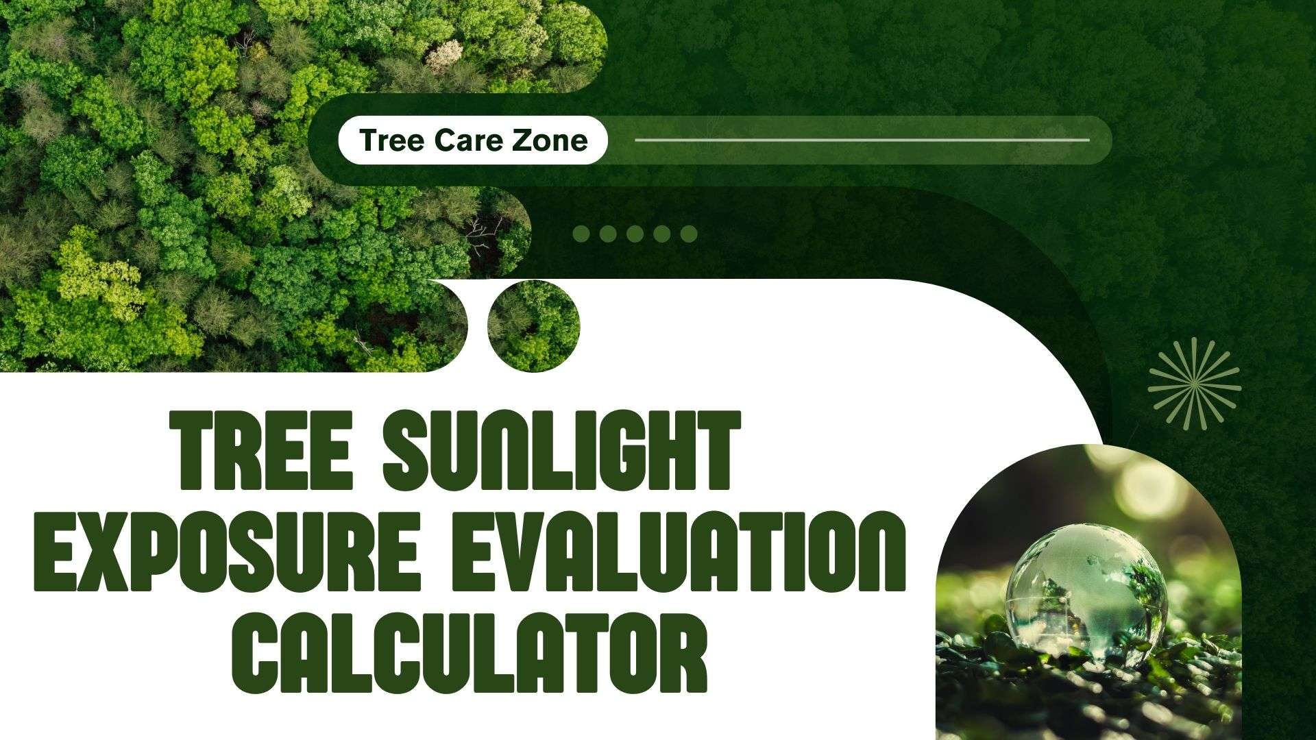 Tree Sunlight Exposure Evaluation Calculator for Trees