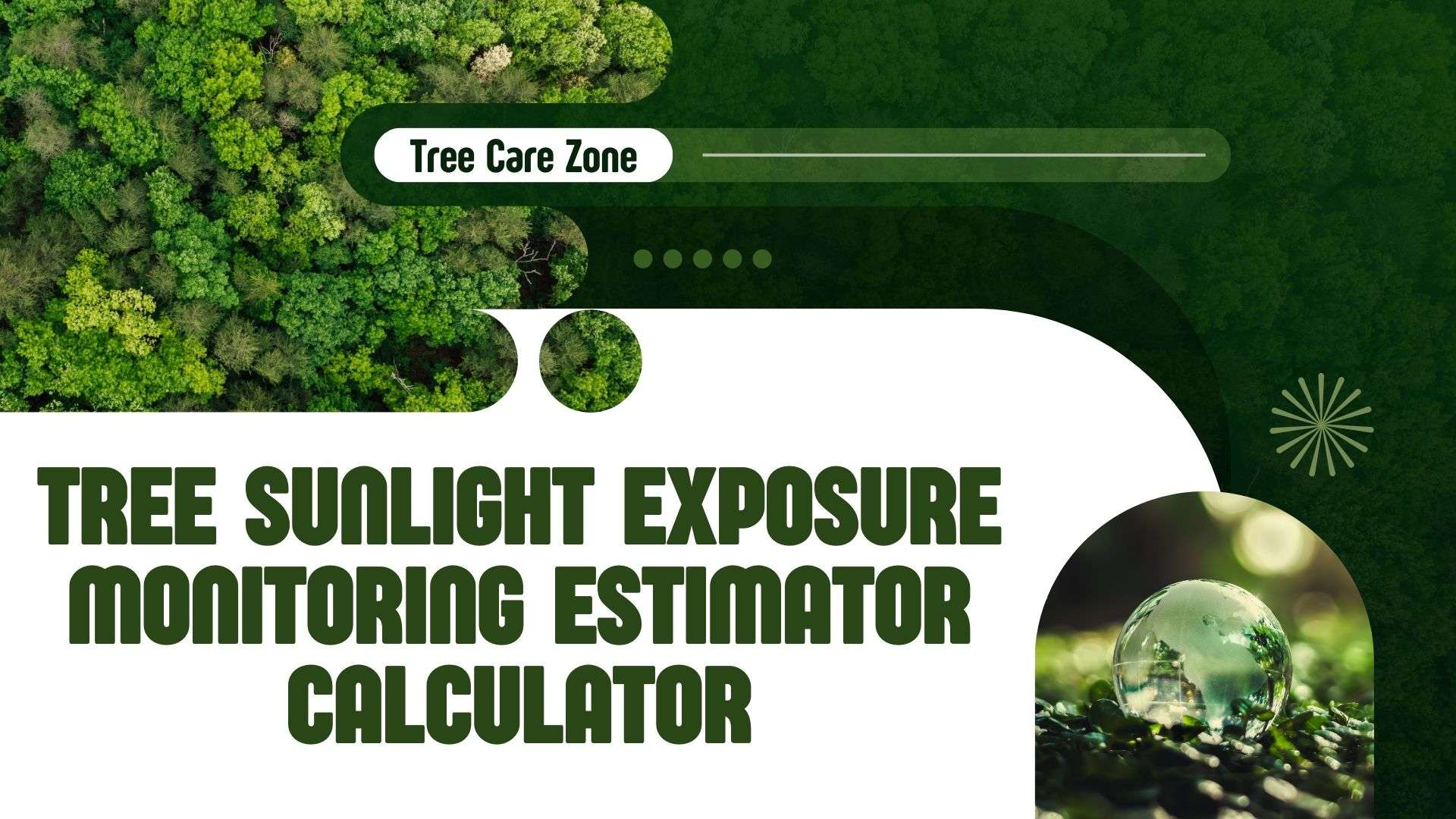 Tree Sunlight Exposure Monitoring Estimator Calculator Guide