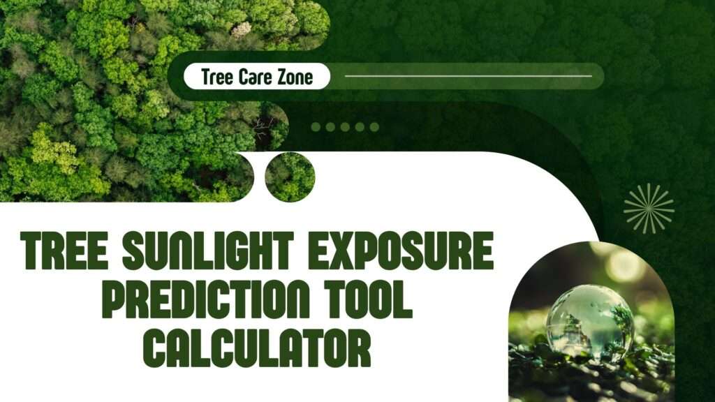 Tree Sunlight Exposure Prediction Tool Calculator