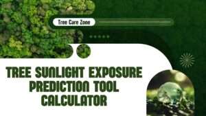 Tree Sunlight Exposure Prediction Tool Calculator