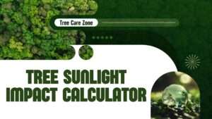 Tree Sunlight Impact Calculator