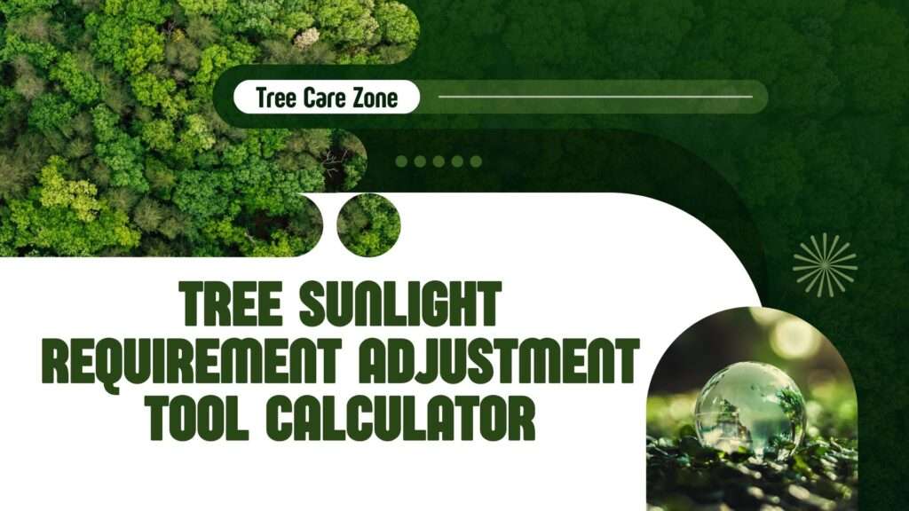 Tree Sunlight Requirement Adjustment Tool Calculator
