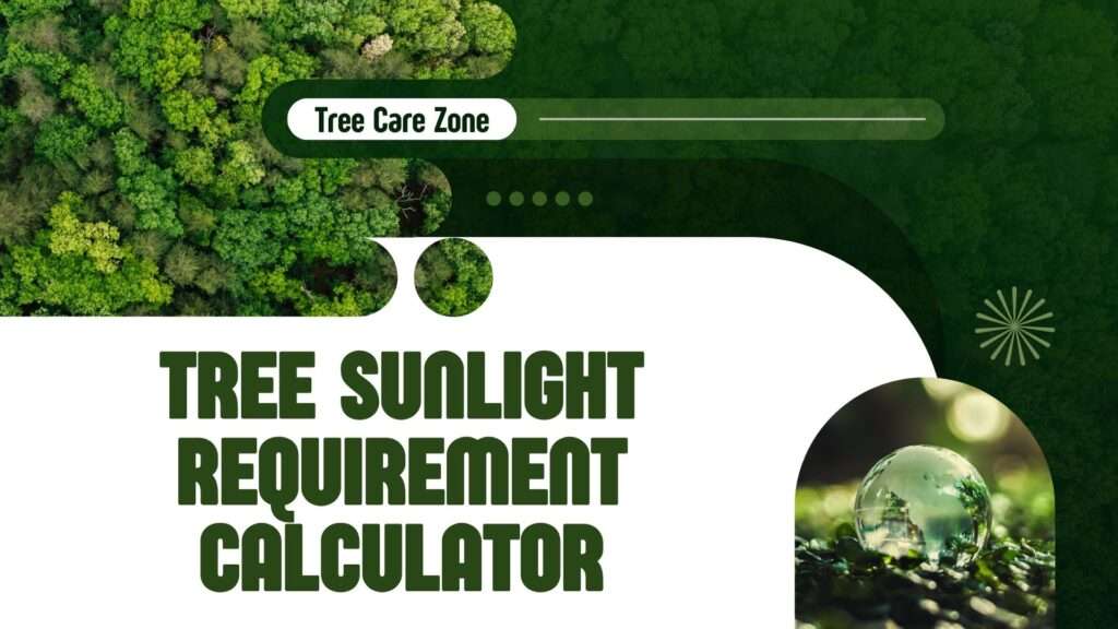 Tree Sunlight Requirement Calculator