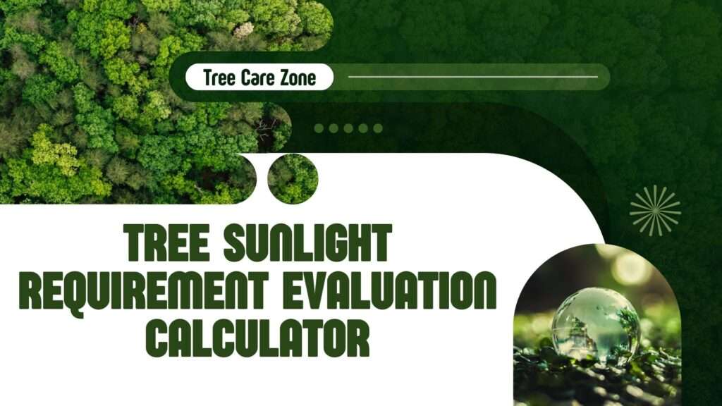 Tree Sunlight Requirement Evaluation Calculator