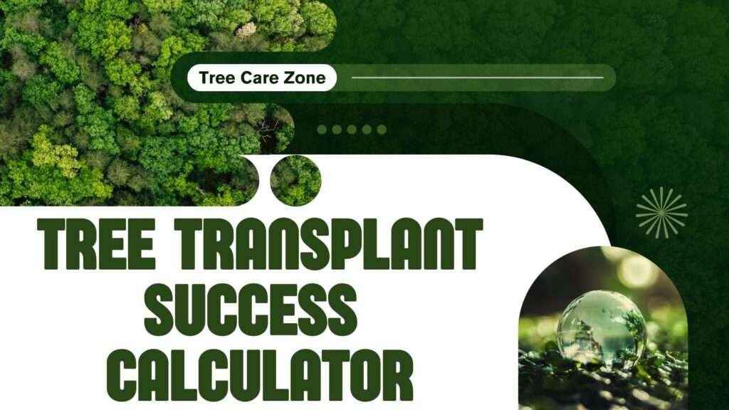 Tree Transplant Success Calculator