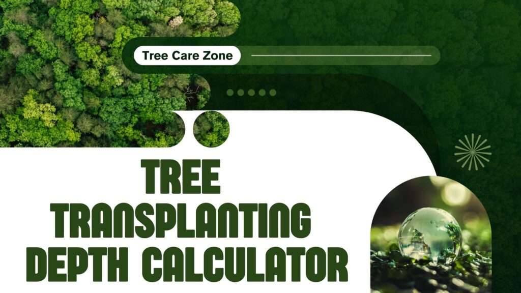 Tree Transplanting Depth Calculator