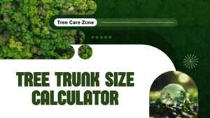Tree Trunk Size Calculator