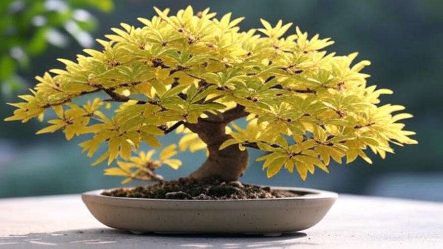 A lush bonsai tree with bright yellow leaves is placed in a round beige pot. It sits on a flat surface against a softly blurred, green background.