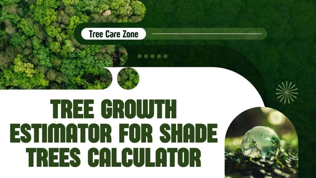 Tree Growth Estimator for Shade Trees Calculator
