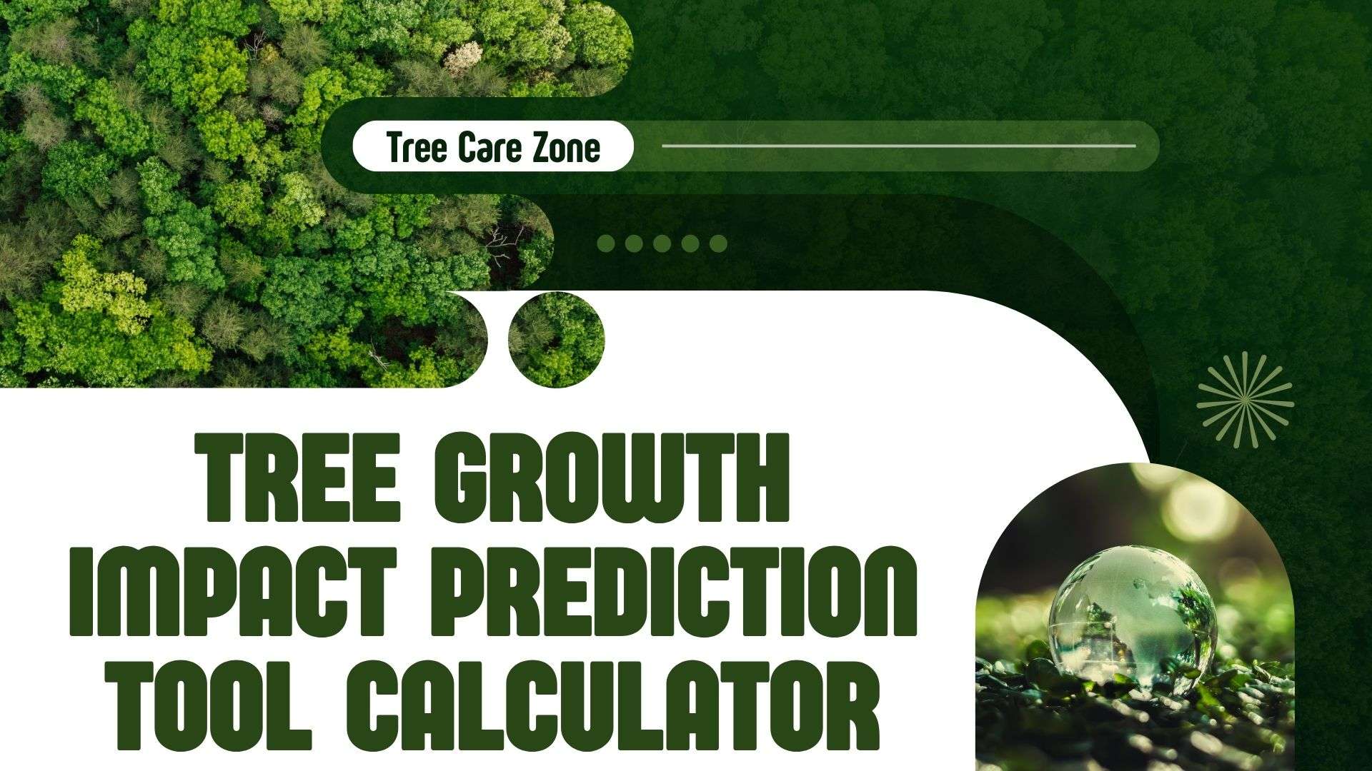 Tree Growth Impact Prediction Tool Calculator Guide