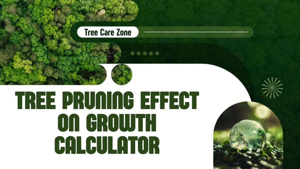 Tree Pruning Effect on Growth Calculator