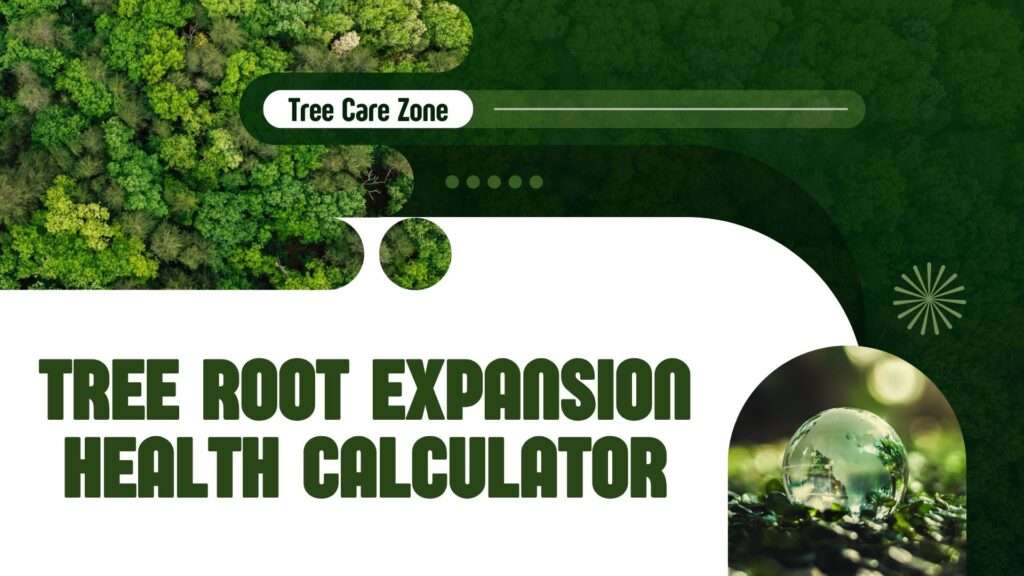 Tree Root Expansion Health Calculator
