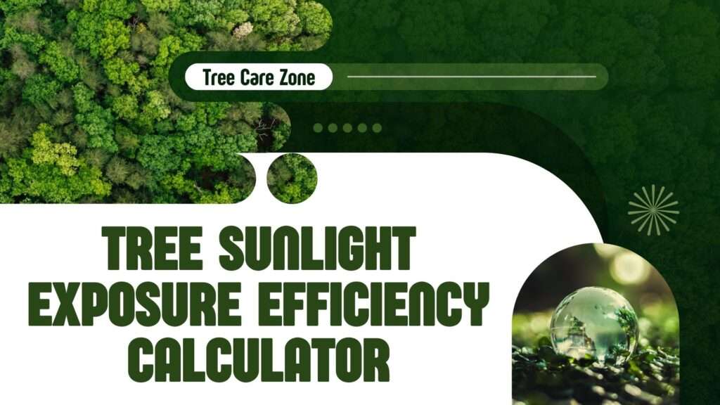 Tree Sunlight Exposure Efficiency Calculator