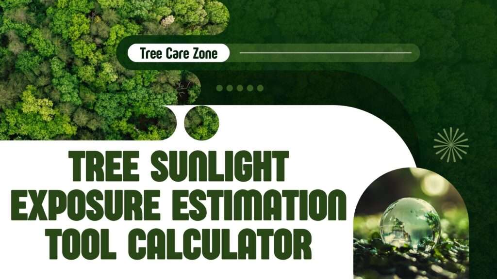 Tree Sunlight Exposure Estimation Tool Calculator