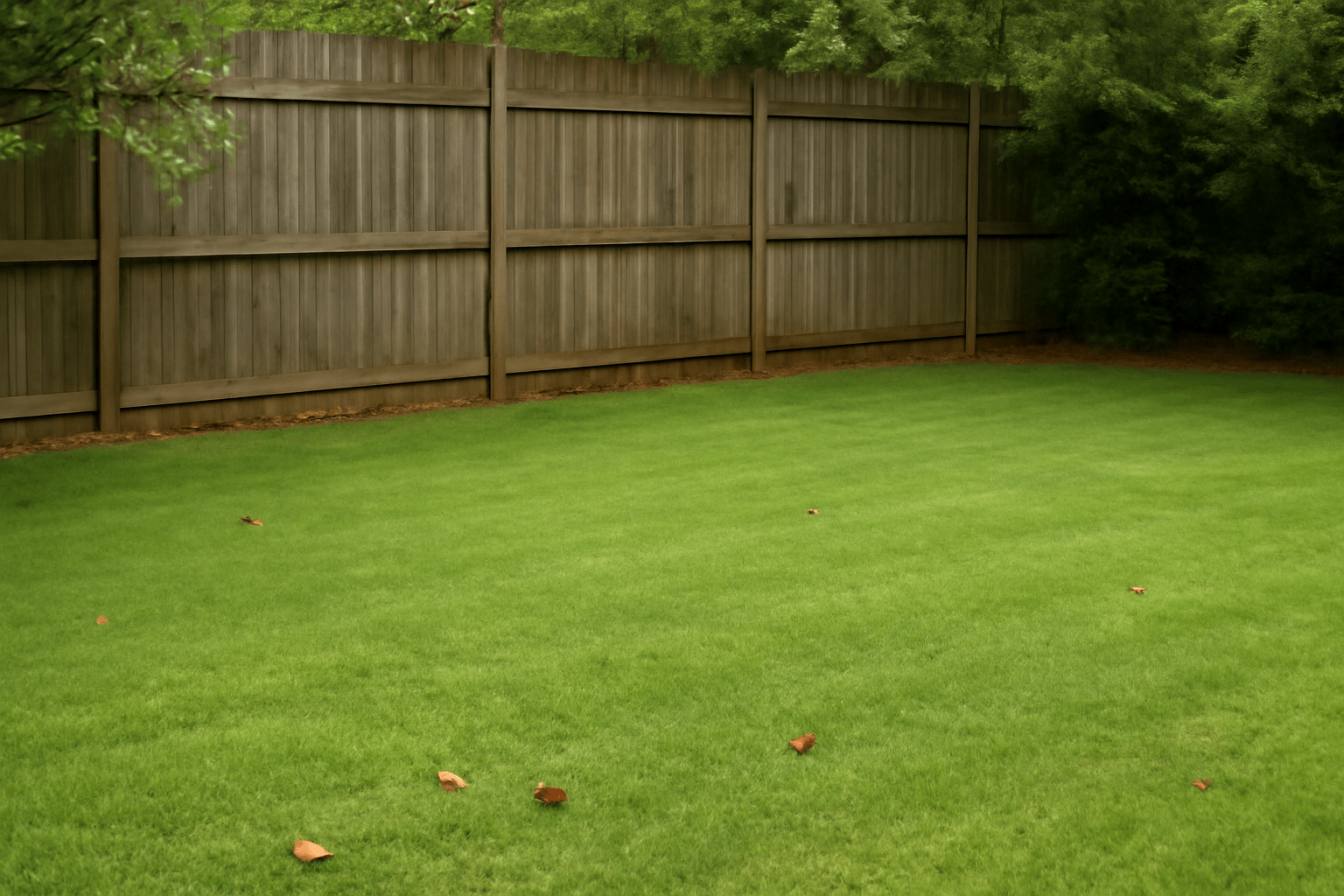 Tidy yard with minimal sweetgum leaves and gum balls, showcasing a successful leaf cleanup strategy.