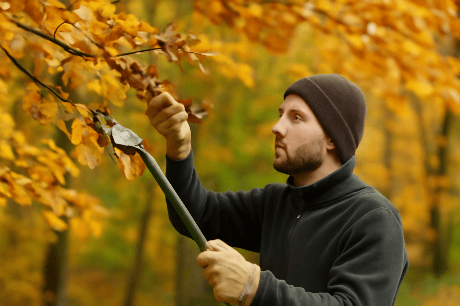 A man in a beanie and jacket prunes autumn leaves with focus, surrounded by vibrant orange foliage in a serene forest setting.