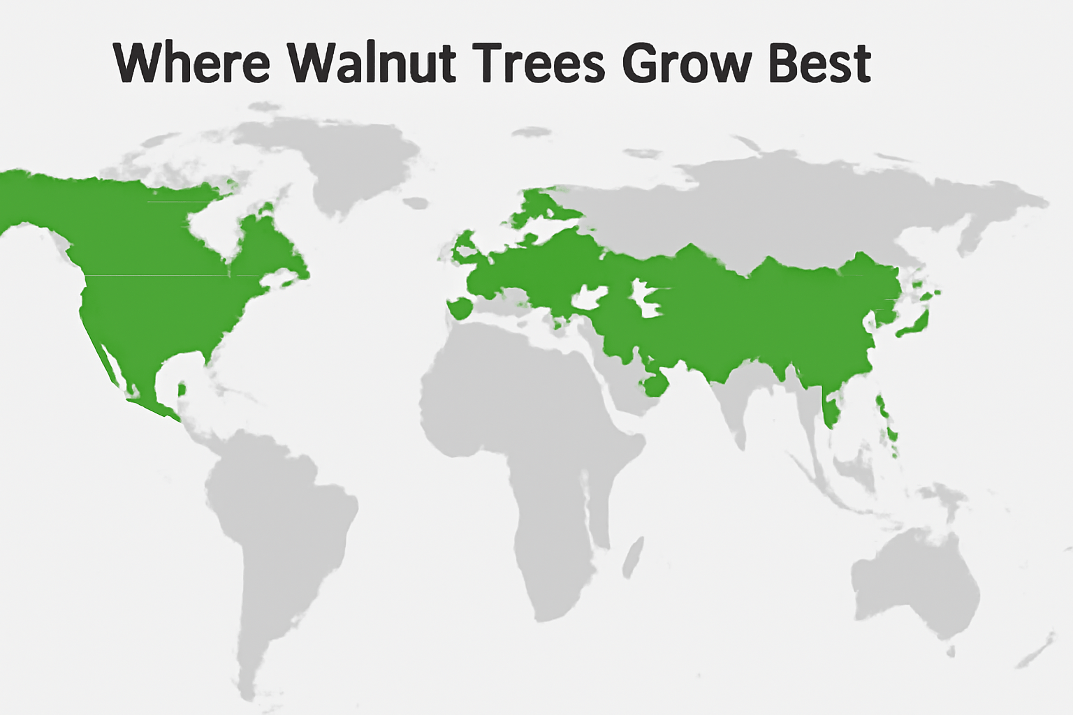 "World map highlighting regions where walnut trees grow best in North America, Europe, and Asia."