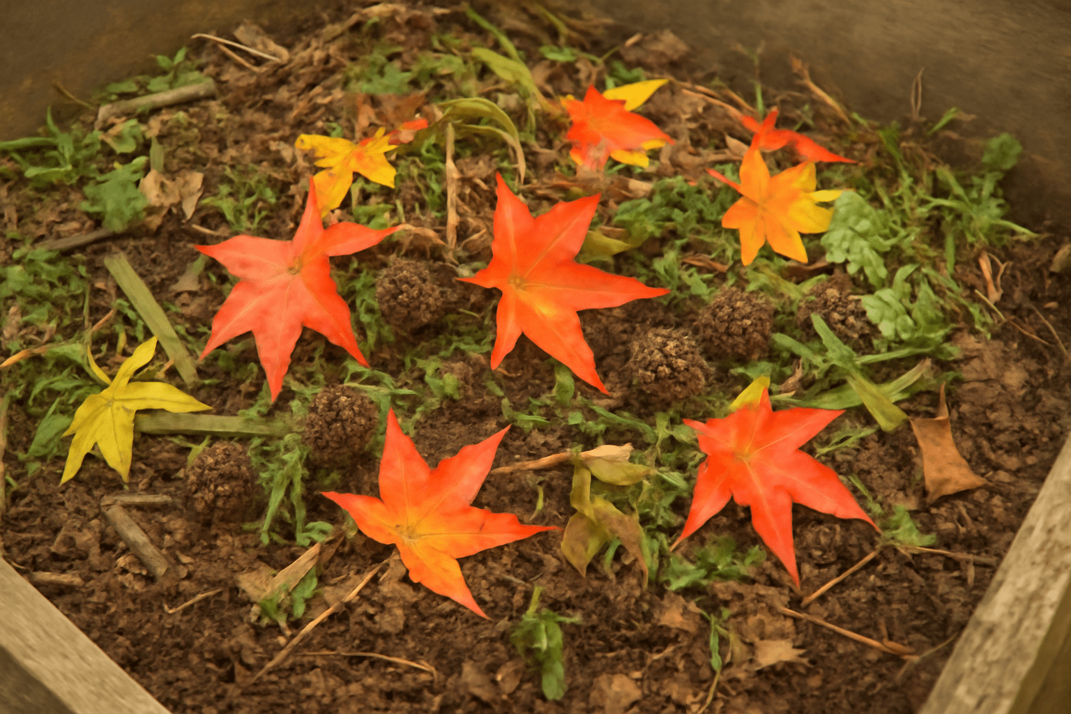 Eco-friendly compost pile with sweetgum leaves and gum balls mixed with organic materials for recycling.