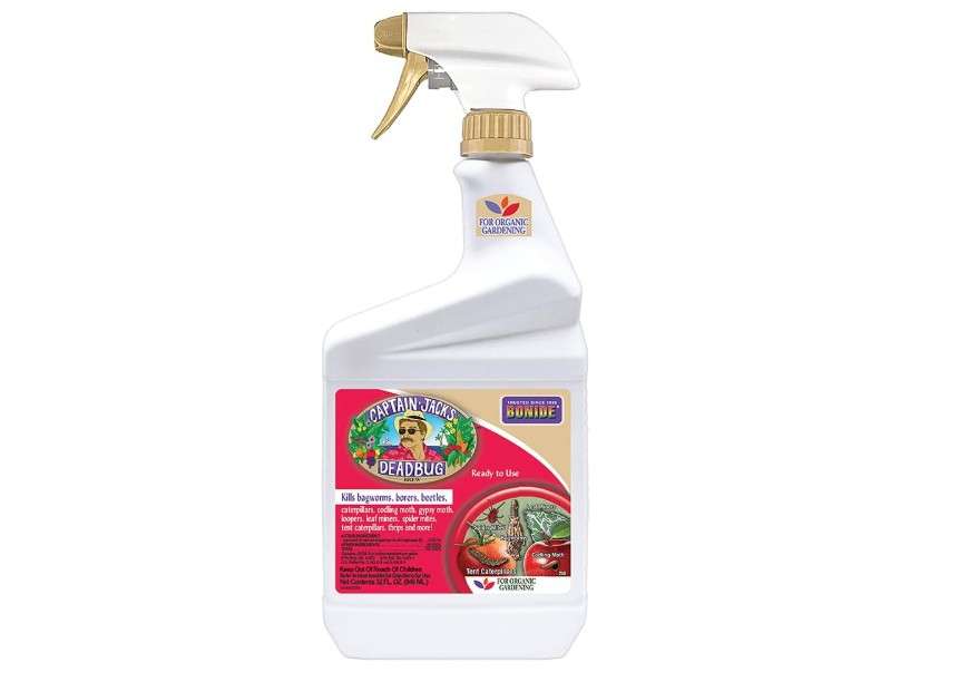  Bonide Captain Jack's Deadbug Brew Ready-to-Use Spray, 32 oz Outdoor Insecticide and Mite Killer for Organic Gardening