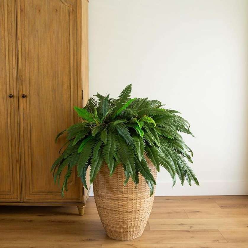 Nearly Natural 48-in Artificial Boston Fern, Set of 2, Large Hanging Fake Plant Wall Decor with 67 Fronds, Faux Fern Vines that Look Real for Home and Office Decor