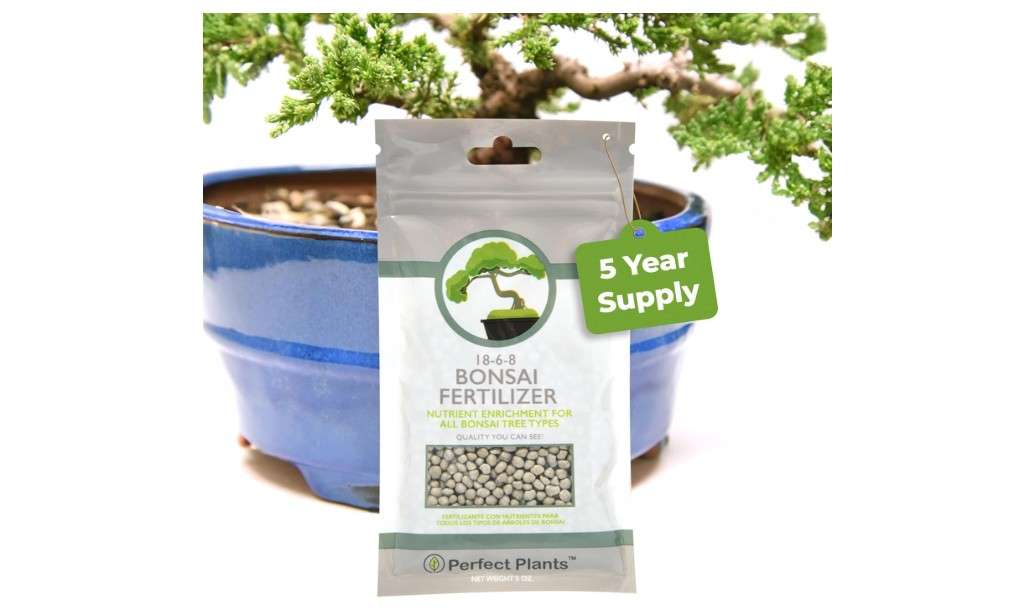 Bonsai Fertilizer Pellets by Perfect Plants - 5 Year Supply - All Natural Slow Release - Extended Enrichment for All Live Bonsai Tree Types 