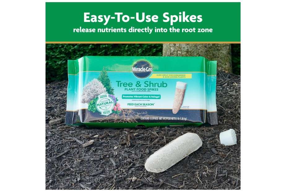  Miracle-Gro Tree and Shrub Plant Food Spikes, For Deciduous, Flowering and Evergreen Trees, Hydrangeas, and Acid-Loving Plants, 12 Spikes