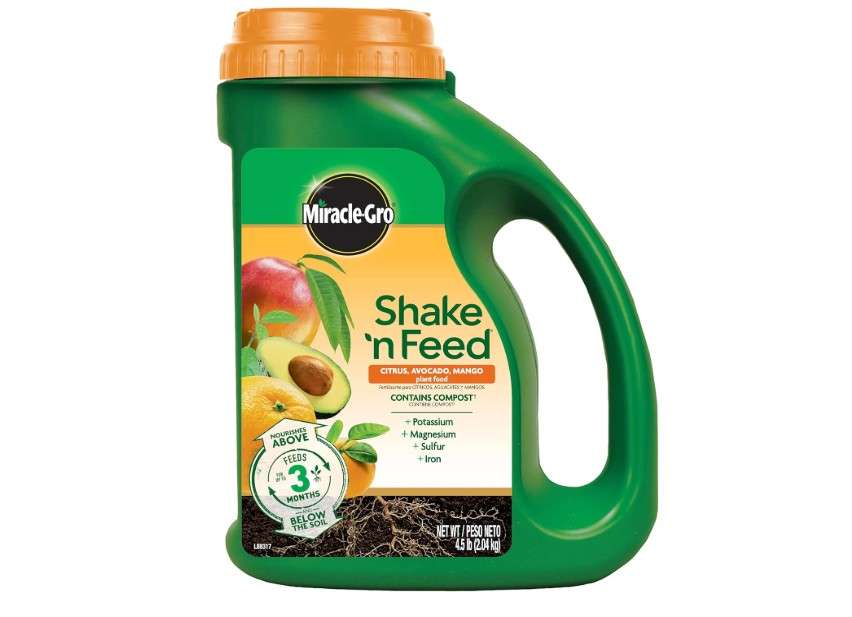  Miracle-Gro Shake 'N Feed Citrus, Avocado, Mango Plant Food, For Container and In-Ground Plants, Citrus Trees, Avocado Trees and Mango Trees, 4.5 lbs