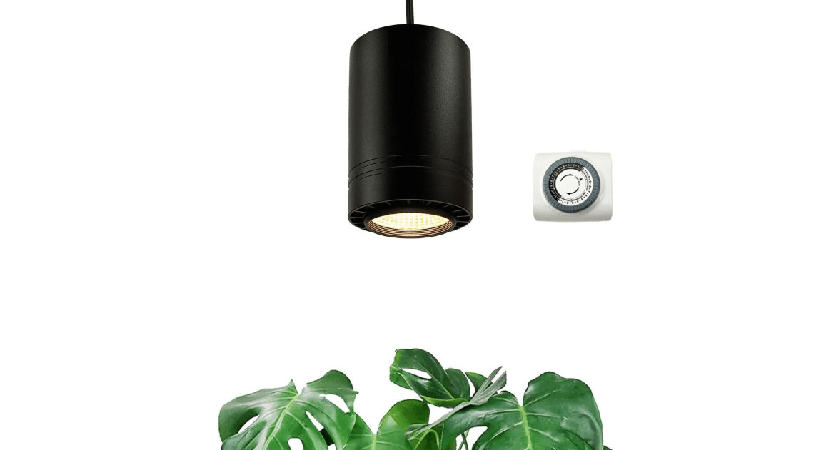 Aspect World's First Decor Grow Light