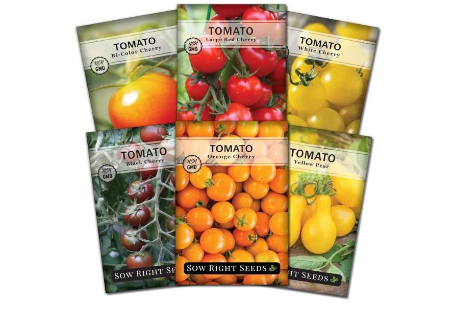  Sow Right Seeds - Cherry Tomato Seed Collection for Planting - Black, Large Red, White, Orange, Bi-Color Cherry and Yellow Pear Tomatoes - Non-GMO Heirloom