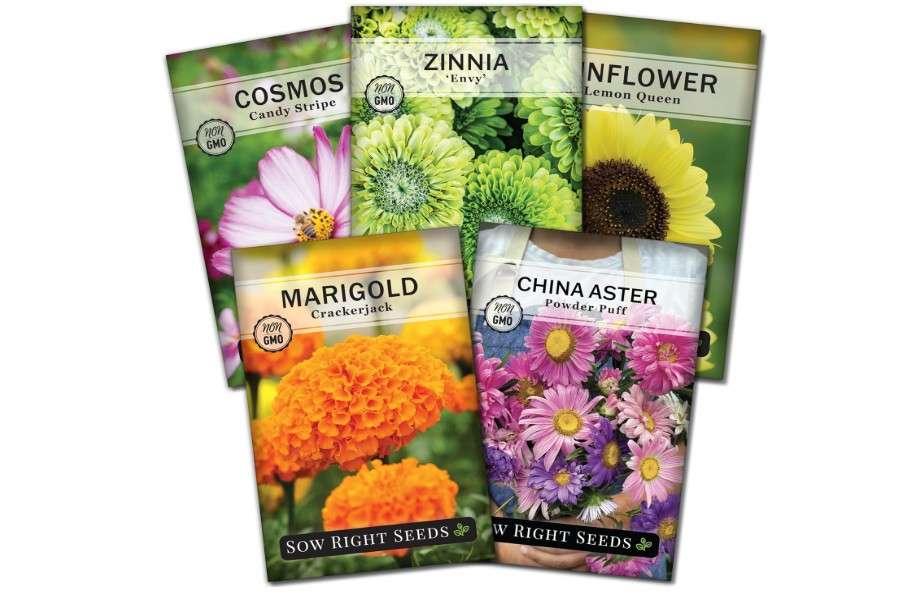  Sow Right Seeds - Annual Flower Seed Garden Collection for Planting - 5 Packets Includes Marigold, Zinnia, China Aster, Sunflower, and Cosmos - Grow in Pots.