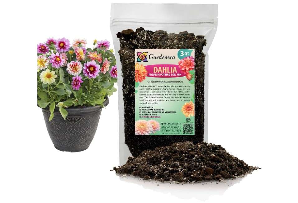  Gardenera Premium Dahlia Potting Soil Mix - Ideal for Growing Vibrant and Healthy Dahlias - 3 Quart 