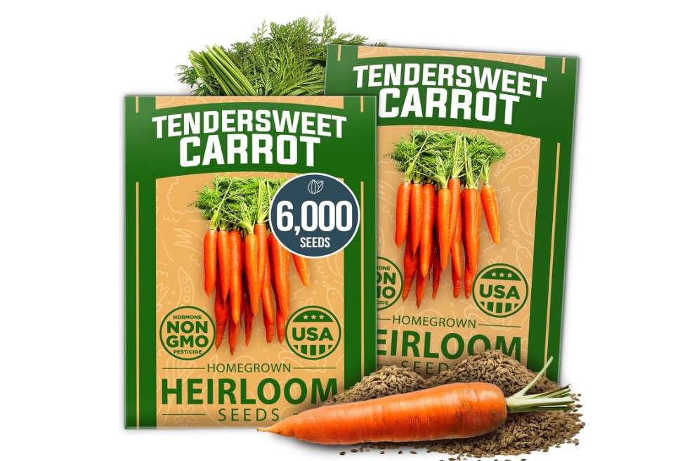  HOME GROWN Tendersweet Carrots Seeds 2 Pack - 6000 Non-GMO Heirloom Carrot Seeds for Planting Outdoors - High- (Daucus carota subsp. sativus)