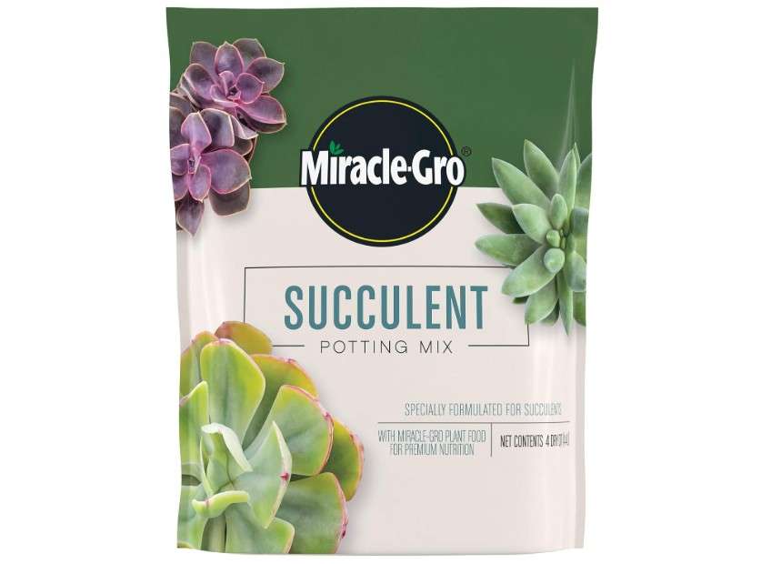  Miracle-Gro Succulent Potting Mix, For Indoor Succulents, Aloe Vera and More, Made with Miracle-Gro Plant Food, 