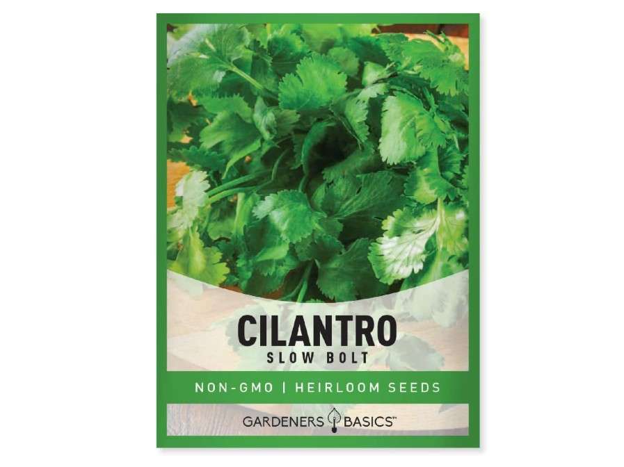 
Gardeners Basics Cilantro Seeds for Planting Heirloom Non-GMO Herb Coriander Plant Seeds for Home Garden Vegetables Makes a Great Gift for Gardening
