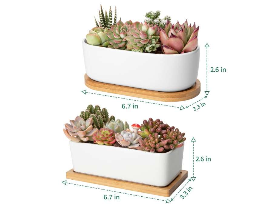 
Greenaholics Succulents Planter Pots Set of 2-6.3 Inch Rectangular White Ceramic Flower Plant Pots Indoor Rectangle Pots for Plants with Bamboo Trays and.