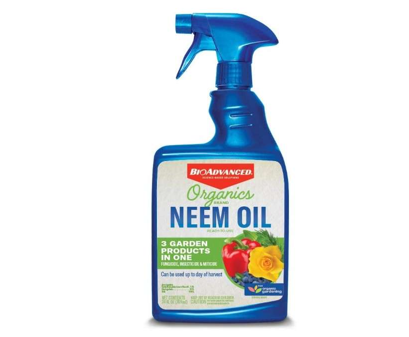 
BioAdvanced Organics Brand Neem Oil, Ready-to-Use, 24 oz