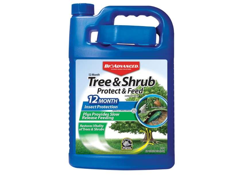  BioAdvanced 12 Month Tree and Shrub Protect and Feed, Concentrate, 1 Gal, Insect Killer and Fertilizer & Plant Food