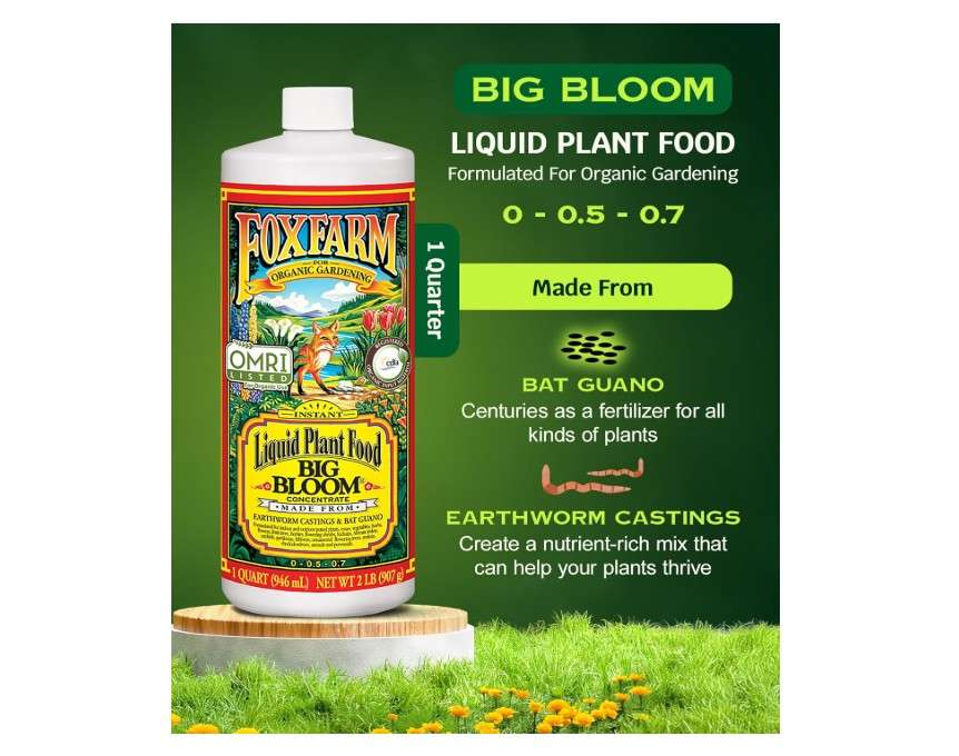  FoxFarm - Big Bloom Plant Food, Liquid Fertilizer Concentrate for Flowers, Fruits, and Vegetables, All Purpose Plant Fertilizer for Indoor & Outdoor.
