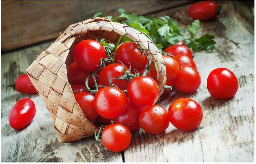  Dwarf Bush Cherry Tomato Seeds for Planting - 100+ Seeds - Amazing Taste - Great for Salads - Made in USA. Ships from Iowa. Dwarf Fruit Seeds