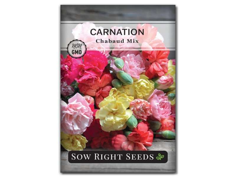 
Sow Right Seeds - Carnation Chabaud Mix Flower Seeds for Planting - Beautiful Flowers to Plant in Your Home Garden - Non-GMO Heirloom Packet with