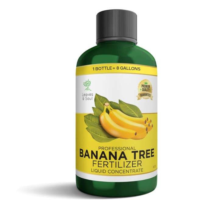 
Leaves and Soul Professional Banana Tree Fertilizer Liquid Concentrate - 6-4-6 Blend for Fruit Tree Fertilizer, Garden - Liquid Plant Food for Banana Trees
