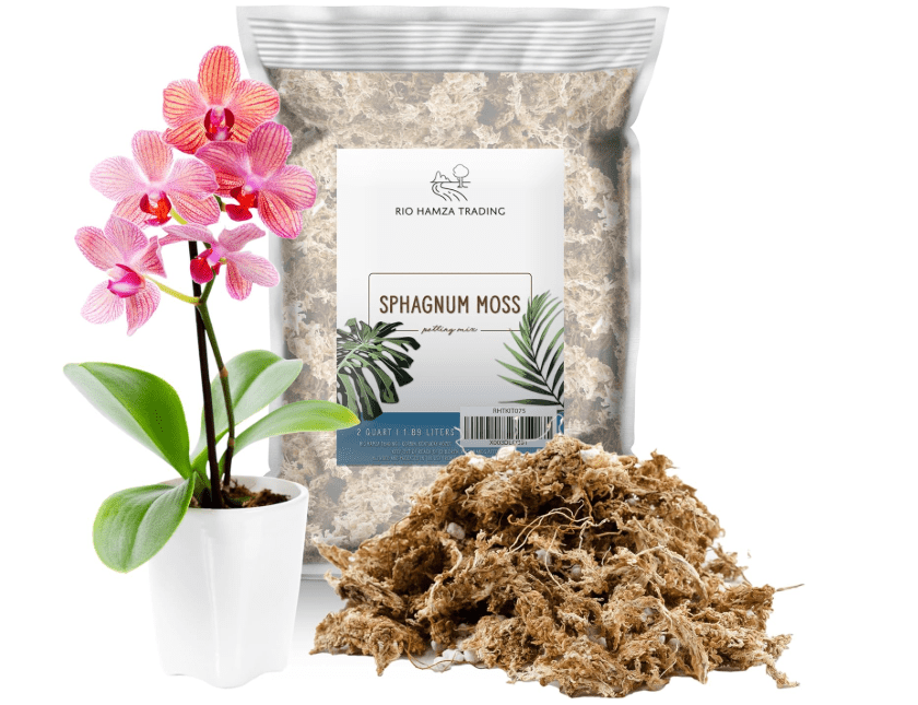 
All Natural Sphagnum Moss Potting Mix (2 Quarts), Dried Moss Blend for Carnivorous Plants, Orchids, Top Dressing, and More