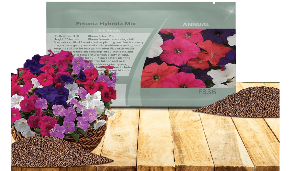 Outsidepride Hybrida Mix Petunia Seeds - 5000 Pcs. Annual, Compact & Versatile Flower Seeds for Planting Low Growing Vibrant Blooms, Ideal for Garde