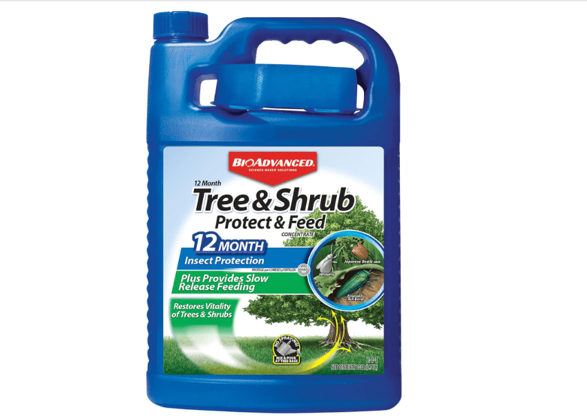 
BioAdvanced 12 Month Tree and Shrub Protect and Feed, Concentrate, 1 Gal, Insect Killer and Fertilizer & Plant Food