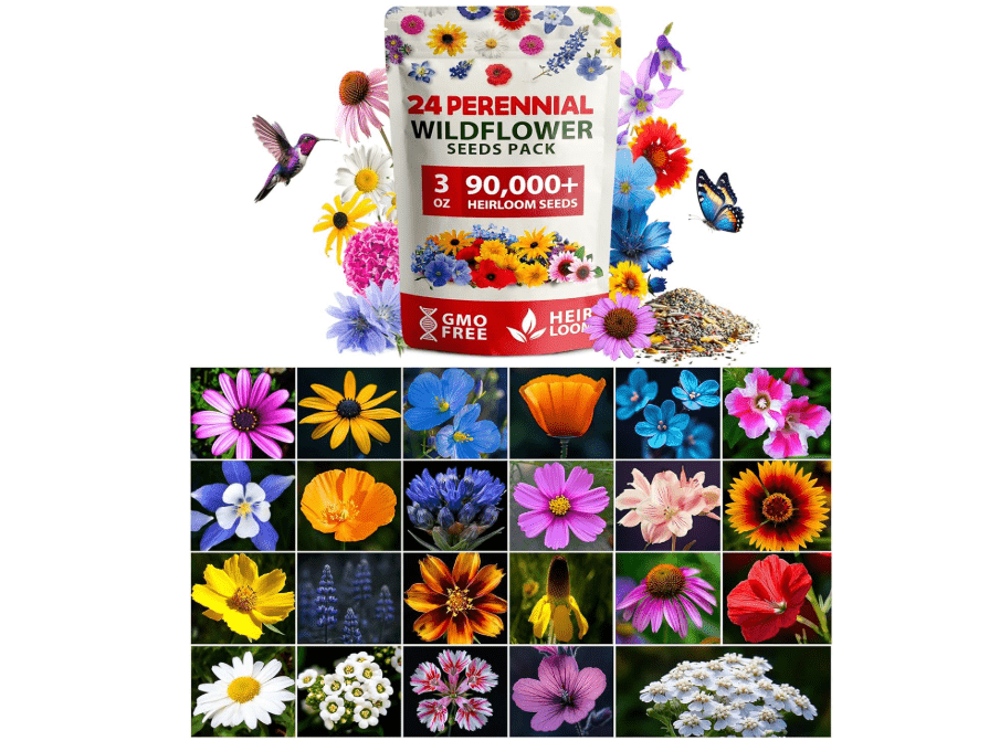 
HOME GROWN 90,000+ Wildflower Seeds 3oz 𝗡𝗢𝗡-𝗚𝗠𝗢, 𝗨𝗦𝗔-𝗦𝗢𝗨𝗥𝗖𝗘𝗗 Heirloom Perennial Flower Seeds Mix for Attracting Bees Birds & Butterflies